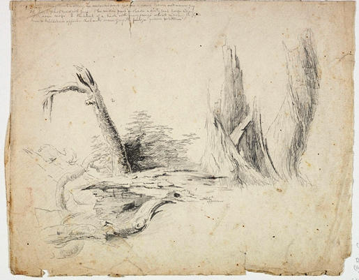 WikiOO.org - Encyclopedia of Fine Arts - Lukisan, Artwork Thomas Cole - Decaying Tree Trunks