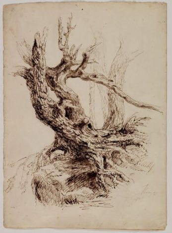 WikiOO.org - دایره المعارف هنرهای زیبا - نقاشی، آثار هنری Thomas Cole - Gnarled Tree Trunk