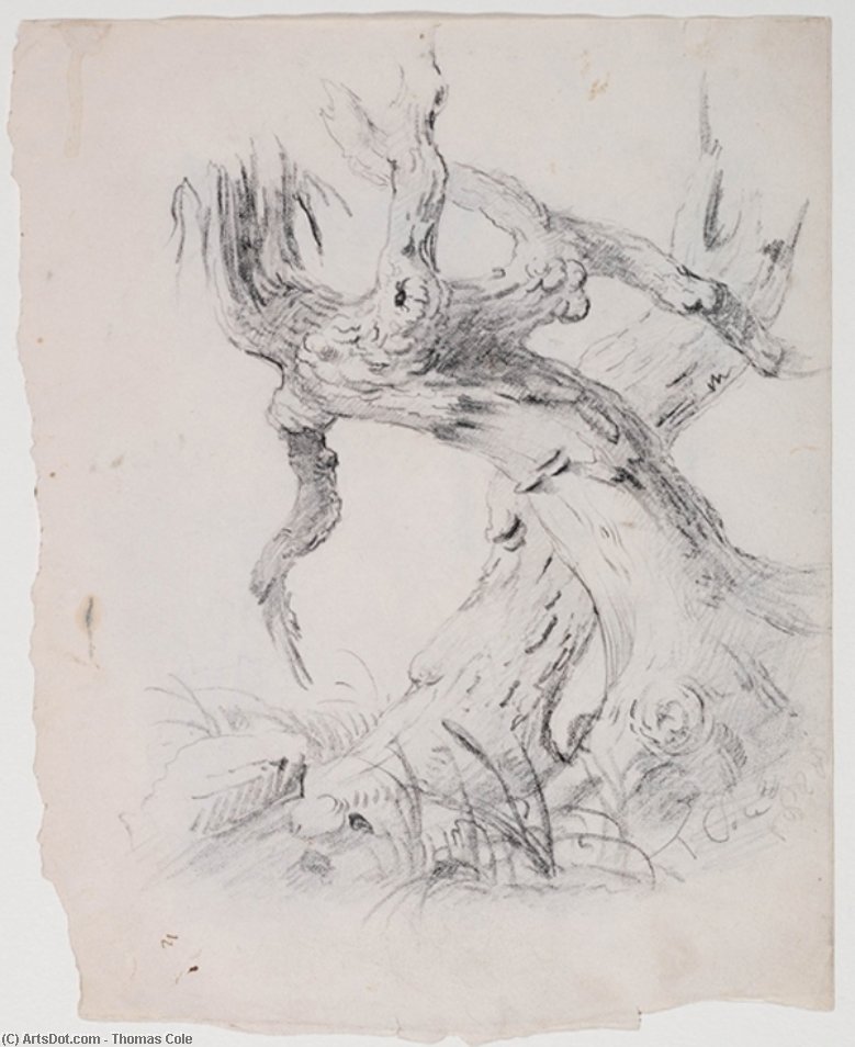 WikiOO.org - Encyclopedia of Fine Arts - Lukisan, Artwork Thomas Cole - Gnarled Trunk of a Tree 2