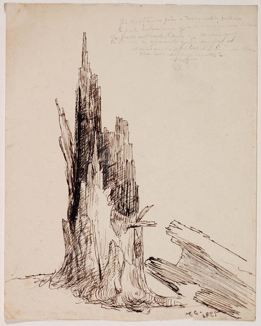 WikiOO.org - Enciklopedija likovnih umjetnosti - Slikarstvo, umjetnička djela Thomas Cole - Lower Part of a Tree, Recen