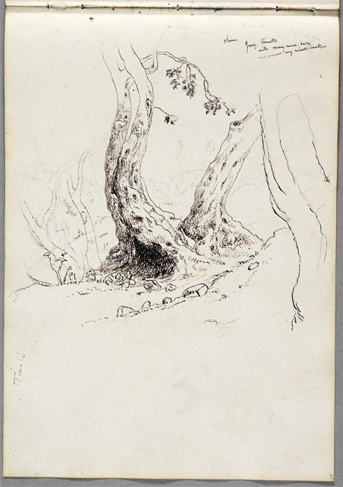 WikiOO.org - Encyclopedia of Fine Arts - Schilderen, Artwork Thomas Cole - Olive Trees, Tivoli