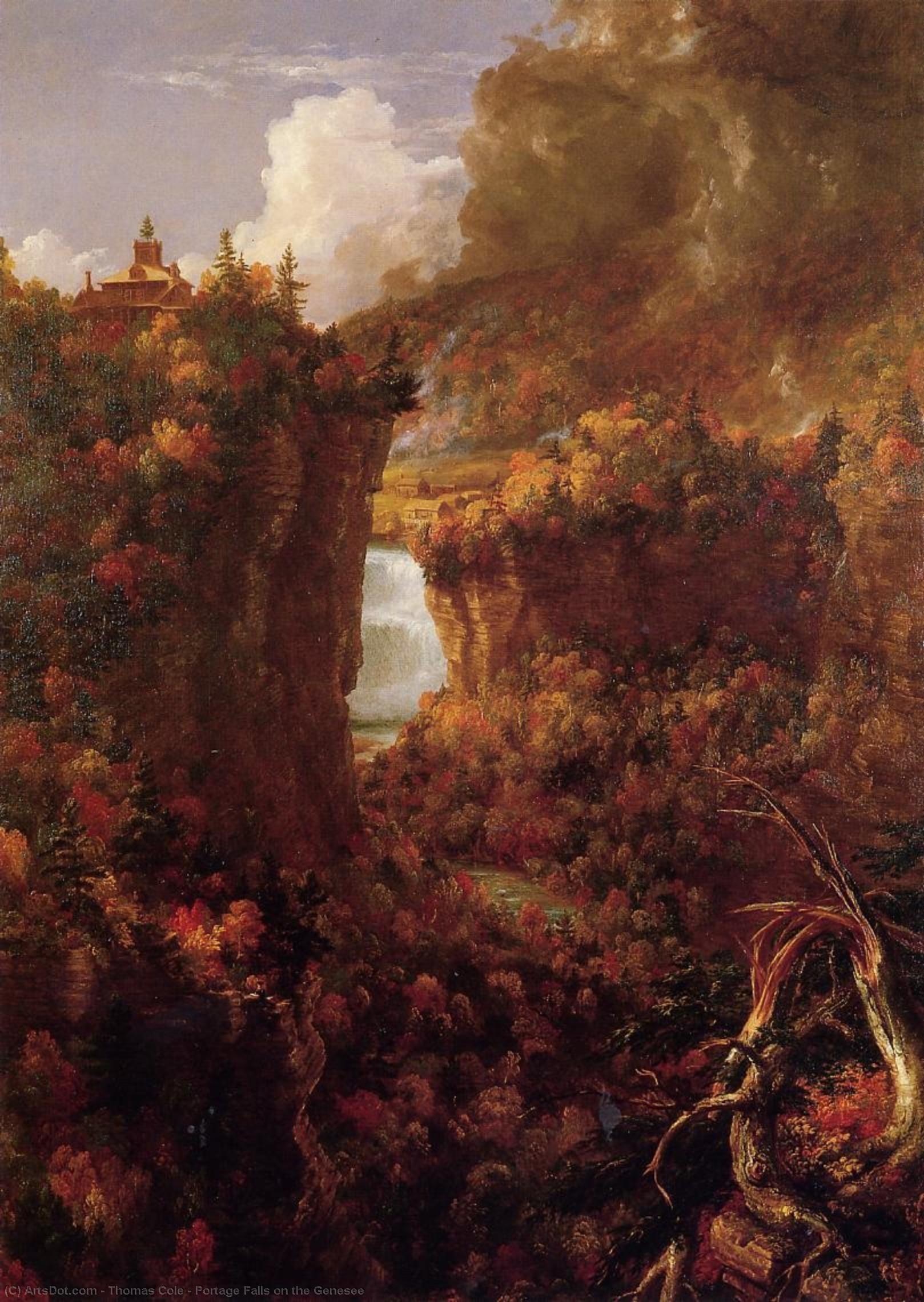 Wikioo.org – La Enciclopedia de las Bellas Artes - Pintura, Obras de arte de Thomas Cole - Portage Falls en el Genesee