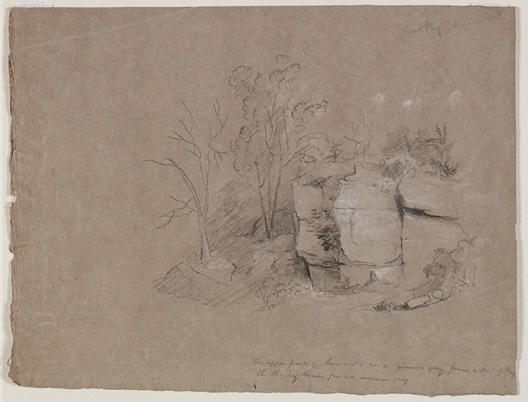 WikiOO.org - Encyclopedia of Fine Arts - Lukisan, Artwork Thomas Cole - Rocks and Trees