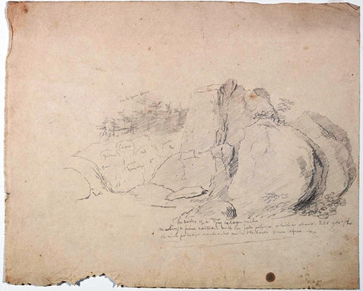 Wikioo.org - สารานุกรมวิจิตรศิลป์ - จิตรกรรม Thomas Cole - Rocks with Distant Trees