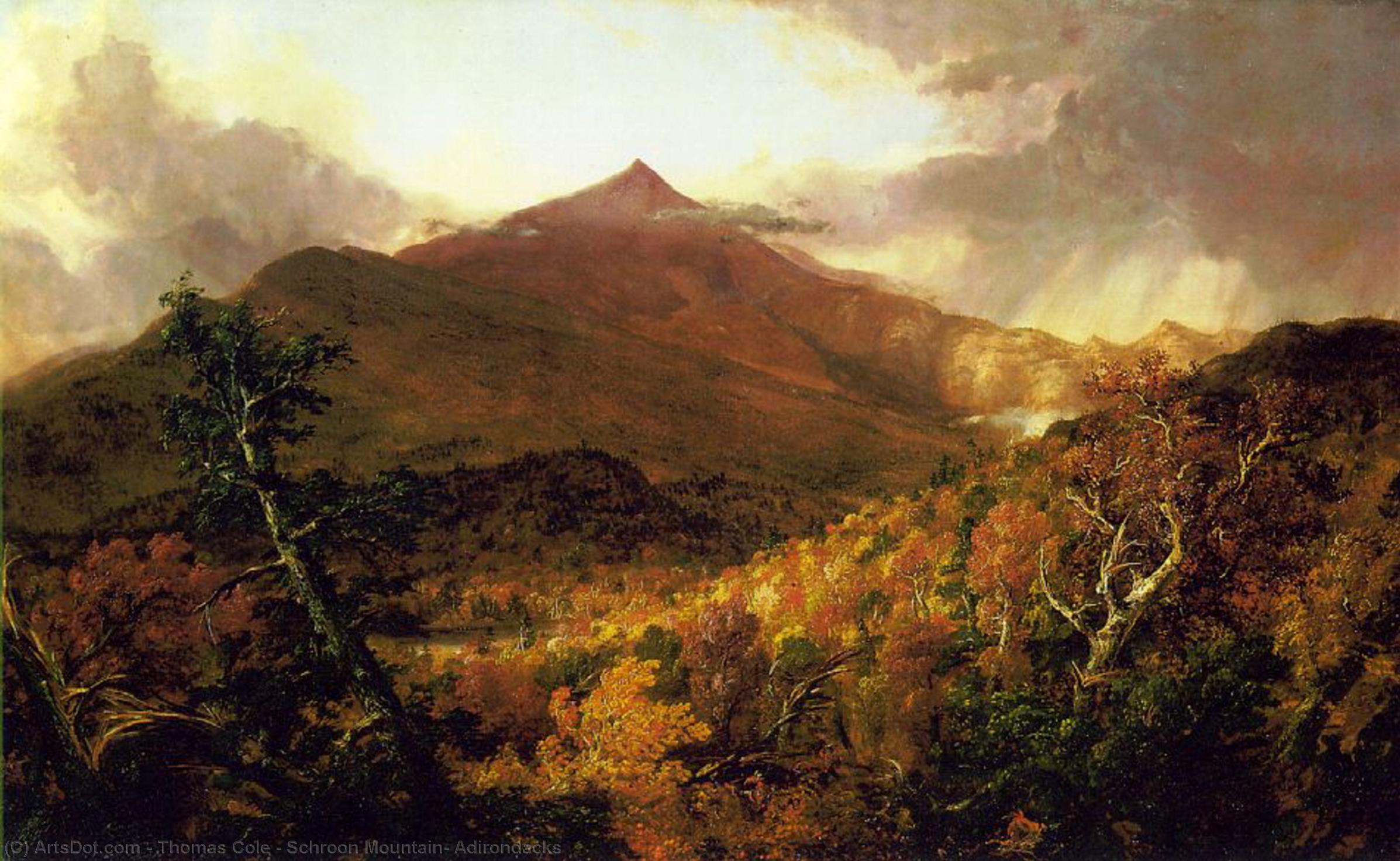 WikiOO.org - Enciklopedija likovnih umjetnosti - Slikarstvo, umjetnička djela Thomas Cole - Schroon Mountain, Adirondacks
