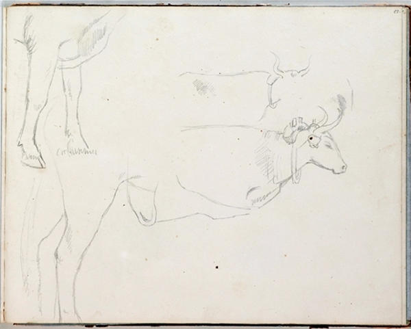 Wikioo.org – L'Enciclopedia delle Belle Arti - Pittura, Opere di Thomas Cole - studiare Mucca