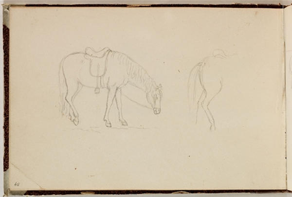 Wikioo.org – L'Enciclopedia delle Belle Arti - Pittura, Opere di Thomas Cole - studiare cavallo
