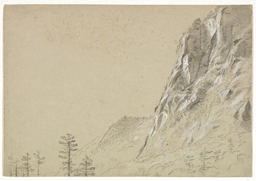 Wikioo.org - Bách khoa toàn thư về mỹ thuật - Vẽ tranh, Tác phẩm nghệ thuật Thomas Cole - Tall Rugged Cliff and Tree