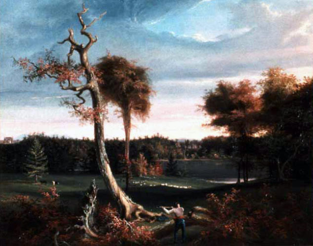 Wikioo.org - The Encyclopedia of Fine Arts - Painting, Artwork by Thomas Cole - The Woodchopper, Lake F.