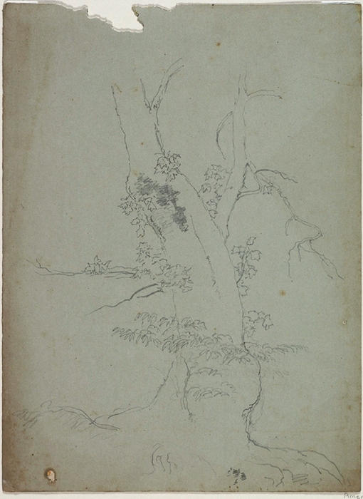 WikiOO.org - Encyclopedia of Fine Arts - Lukisan, Artwork Thomas Cole - Tree Trunk3