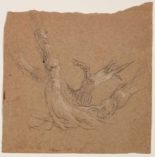 WikiOO.org - Enciklopedija likovnih umjetnosti - Slikarstvo, umjetnička djela Thomas Cole - Tree Trunks