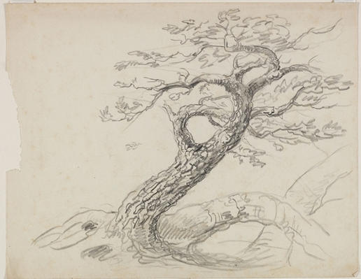 WikiOO.org - Encyclopedia of Fine Arts - Lukisan, Artwork Thomas Cole - Tree4