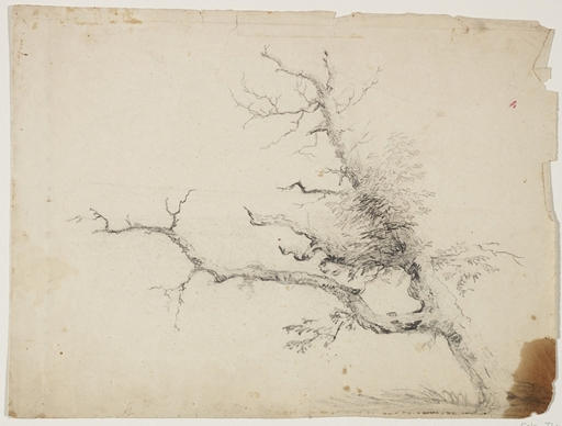 WikiOO.org - Енциклопедия за изящни изкуства - Живопис, Произведения на изкуството Thomas Cole - Tree6
