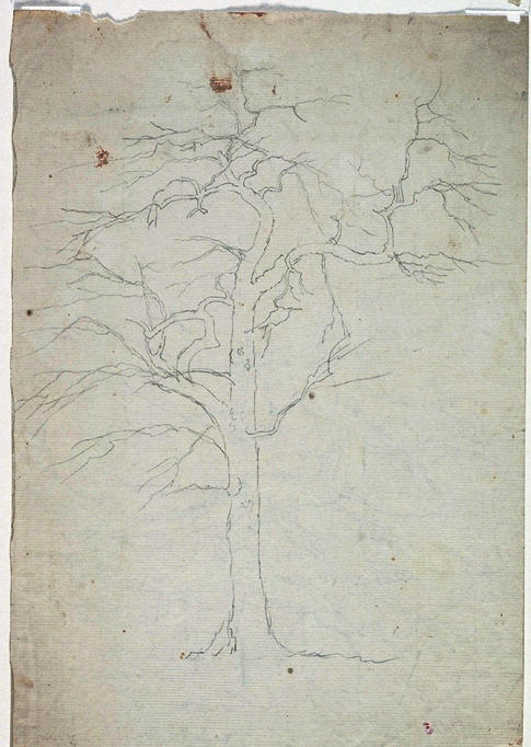 WikiOO.org - אנציקלופדיה לאמנויות יפות - ציור, יצירות אמנות Thomas Cole - Tree8