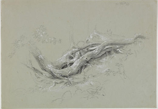 Wikioo.org – La Enciclopedia de las Bellas Artes - Pintura, Obras de arte de Thomas Cole - Troncos de árboles