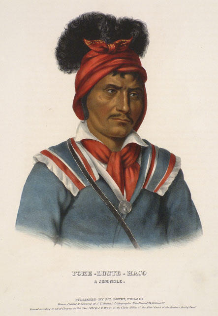 Wikioo.org - สารานุกรมวิจิตรศิลป์ - จิตรกรรม Charles Bird King - Foke-Luste-Hajo, A Seminole