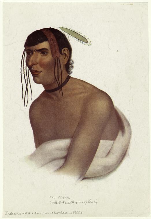 Wikioo.org - The Encyclopedia of Fine Arts - Painting, Artwork by Charles Bird King - Jack-O-Pa, a Chippeway [Chippewa] chief