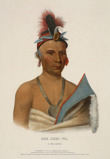Wikioo.org - The Encyclopedia of Fine Arts - Painting, Artwork by Charles Bird King - Kee-Shes-Wa, A Fox Chief