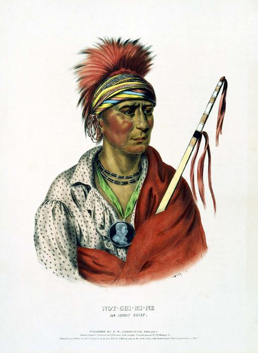 Wikioo.org - The Encyclopedia of Fine Arts - Painting, Artwork by Charles Bird King - NOT-CHI-MI-NE. AN IOWAY CHIEF