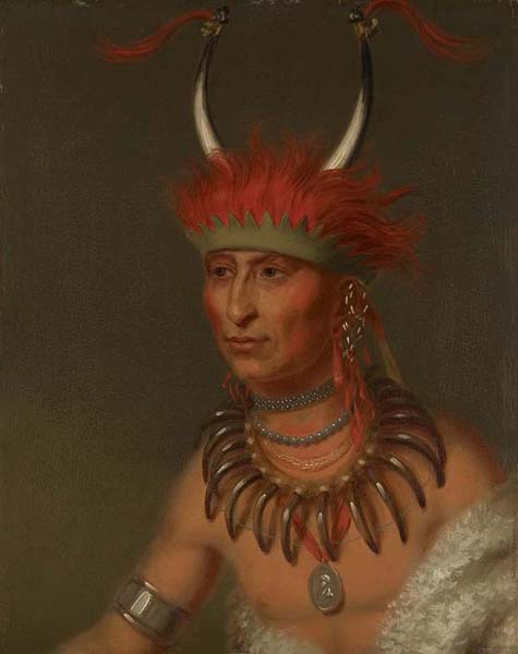 Wikioo.org - The Encyclopedia of Fine Arts - Painting, Artwork by Charles Bird King - Ottoe Half Chief, Husband of Eagle of Delight