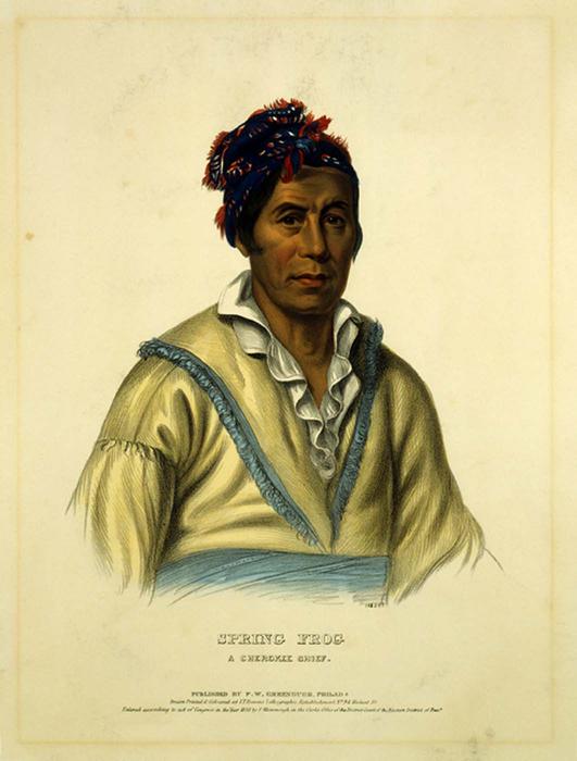 Wikioo.org - The Encyclopedia of Fine Arts - Painting, Artwork by Charles Bird King - SPRING FROG. A CHEROKEE CHIEF