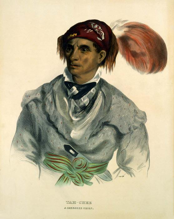 WikiOO.org - Енциклопедия за изящни изкуства - Живопис, Произведения на изкуството Charles Bird King - Tah-Chee, A Cherokee Chief