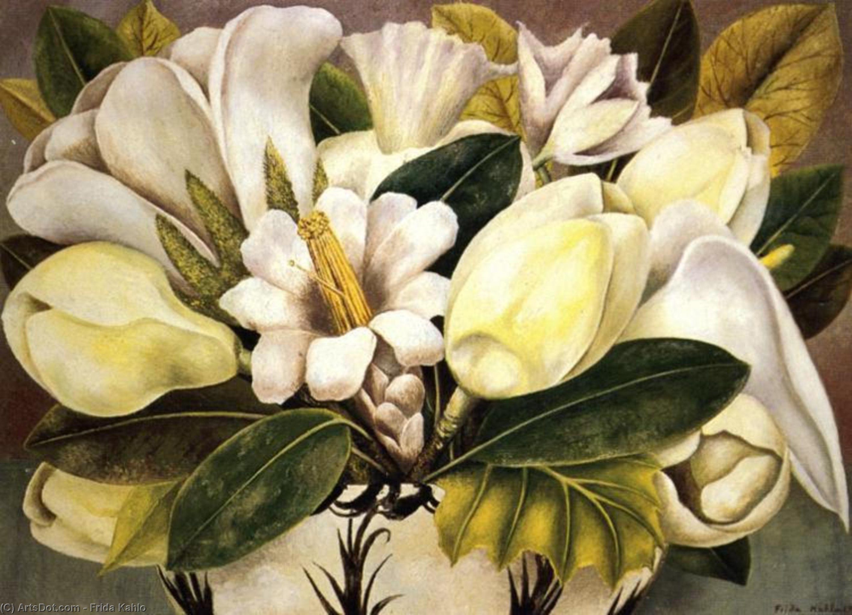 Wikioo.org - The Encyclopedia of Fine Arts - Painting, Artwork by Frida Kahlo - Magnolias