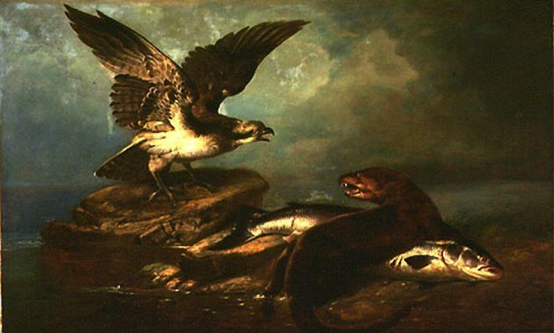 Wikioo.org - The Encyclopedia of Fine Arts - Painting, Artwork by John James Audubon - The Osprey and the Otter and the Salmon