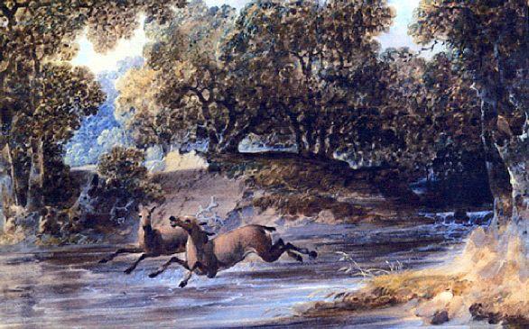 Wikioo.org – L'Enciclopedia delle Belle Arti - Pittura, Opere di Joshua Shaw - paesaggio con cervo , A nord Carolina