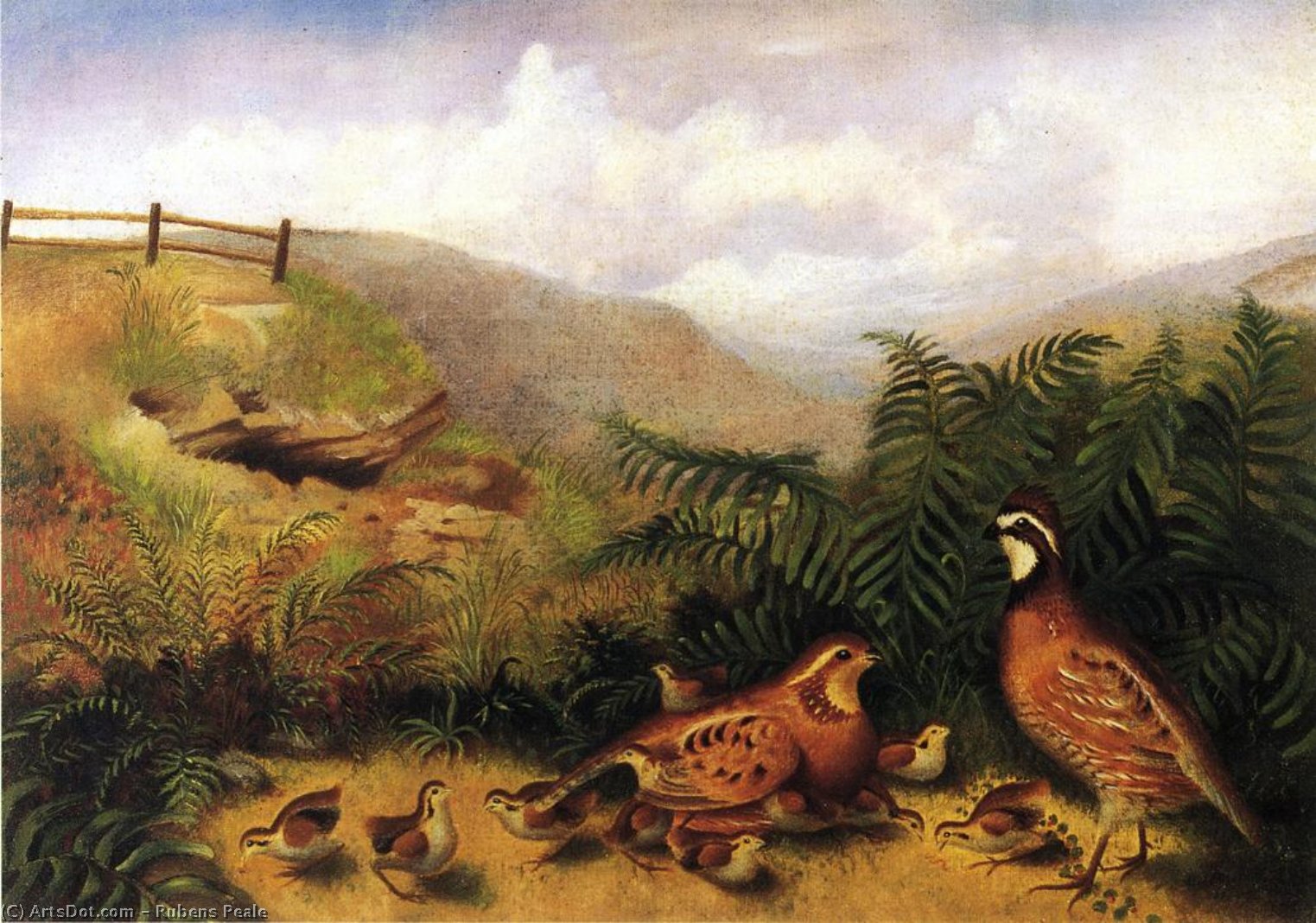 Wikioo.org - The Encyclopedia of Fine Arts - Painting, Artwork by Rubens Peale - Landscape with Quail - Cock, Hen and Chickens