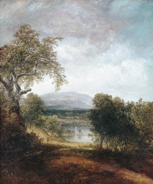 Wikioo.org - The Encyclopedia of Fine Arts - Painting, Artwork by Thomas Doughty - A River Glimpse