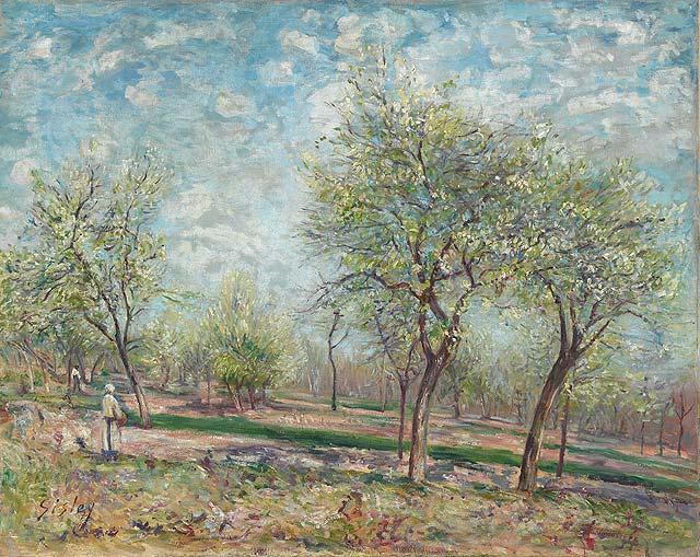 Wikioo.org - The Encyclopedia of Fine Arts - Painting, Artwork by Alfred Sisley - Apple Trees in Bloom