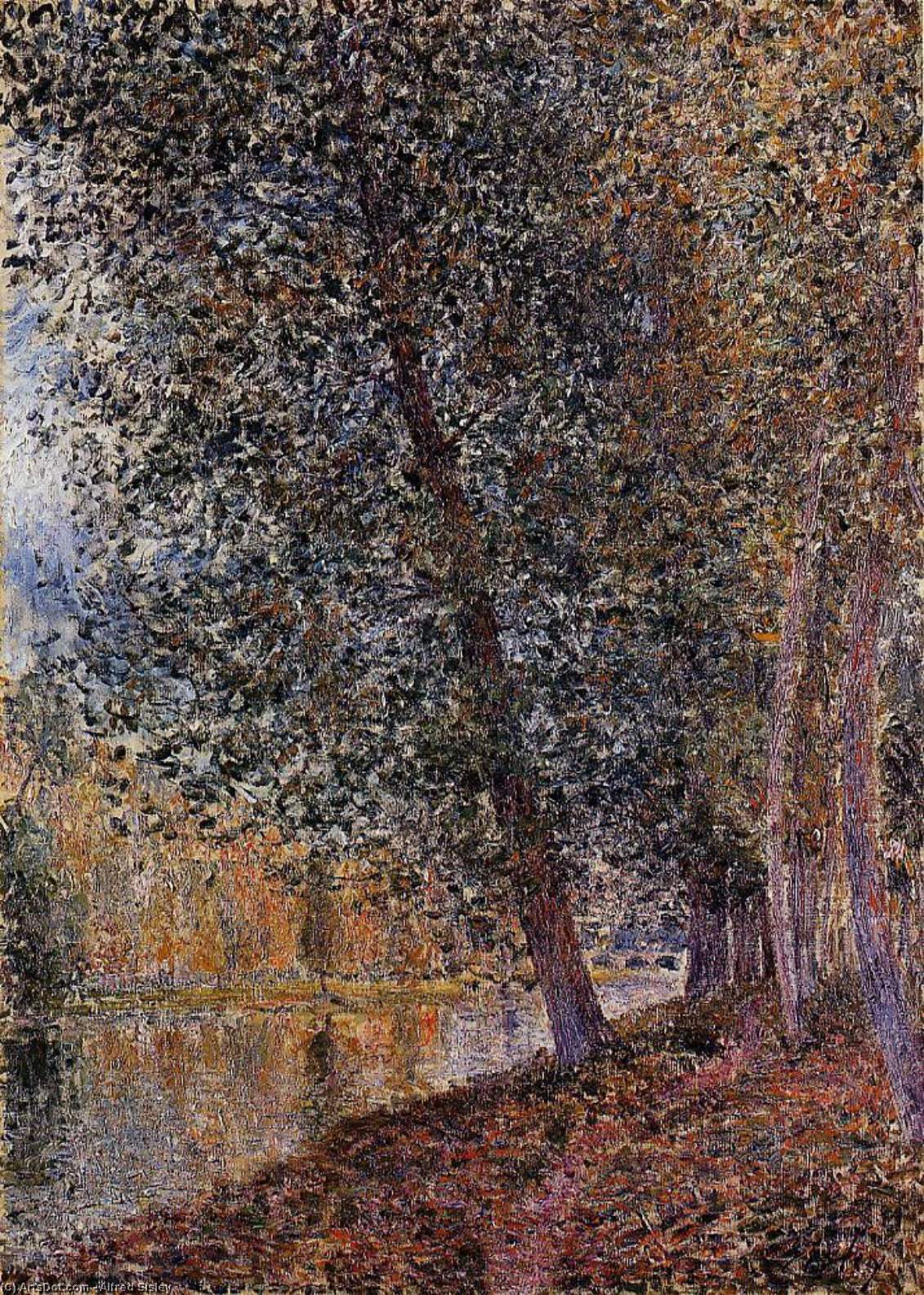 Wikioo.org - The Encyclopedia of Fine Arts - Painting, Artwork by Alfred Sisley - Banks of the Loing, Autumn