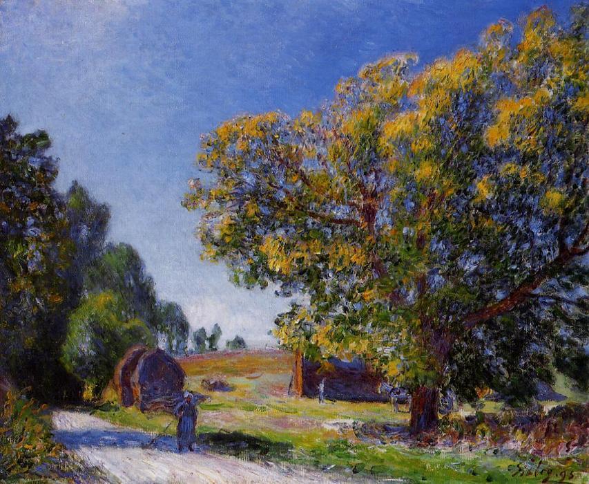 Wikioo.org - The Encyclopedia of Fine Arts - Painting, Artwork by Alfred Sisley - Fields around the Forest