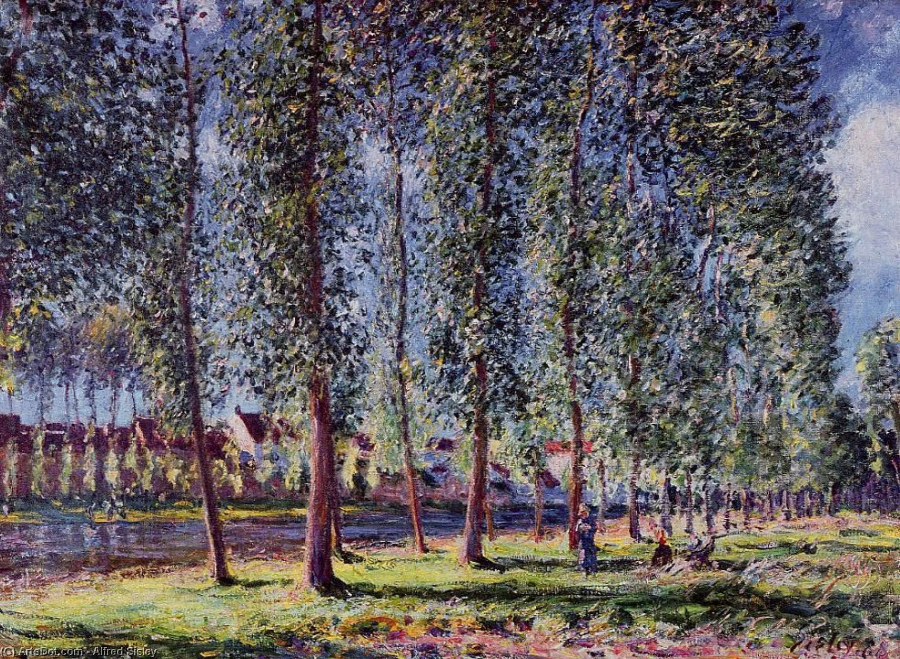 Wikioo.org - The Encyclopedia of Fine Arts - Painting, Artwork by Alfred Sisley - Lane of Poplars at Moret