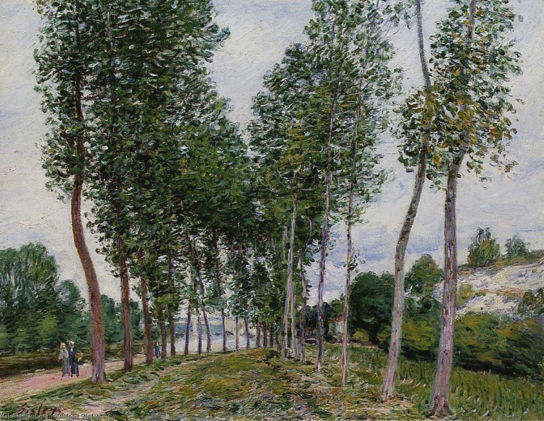 WikiOO.org - Encyclopedia of Fine Arts - Schilderen, Artwork Alfred Sisley - Lane of Poplars on the Banks of the Loing