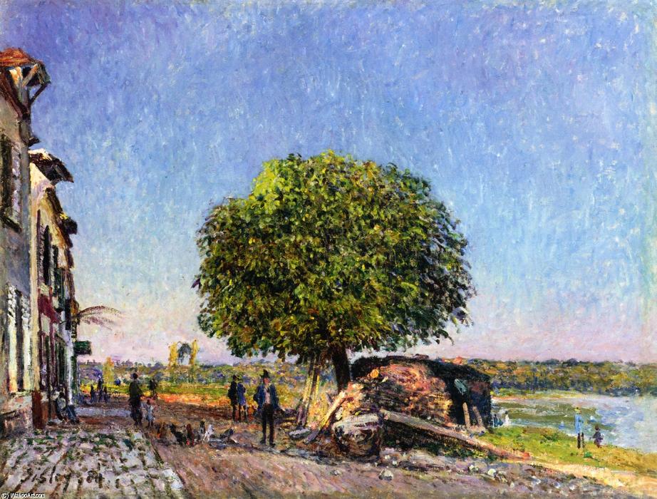 Wikioo.org - The Encyclopedia of Fine Arts - Painting, Artwork by Alfred Sisley - Le Marronier à Saint-Mammes