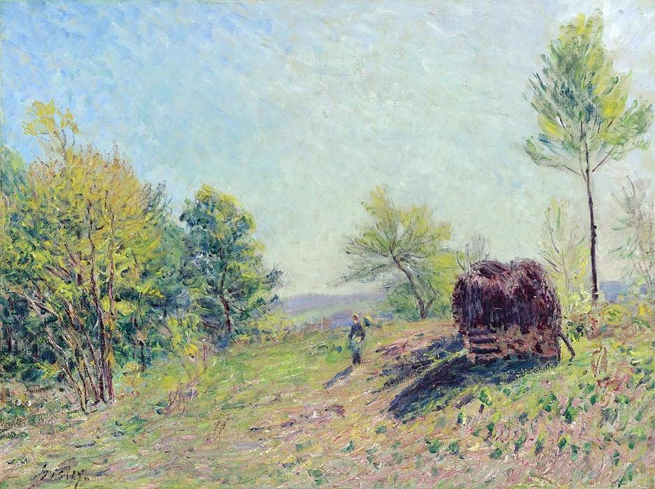 Wikioo.org – L'Encyclopédie des Beaux Arts - Peinture, Oeuvre de Alfred Sisley - le de bord la forêt