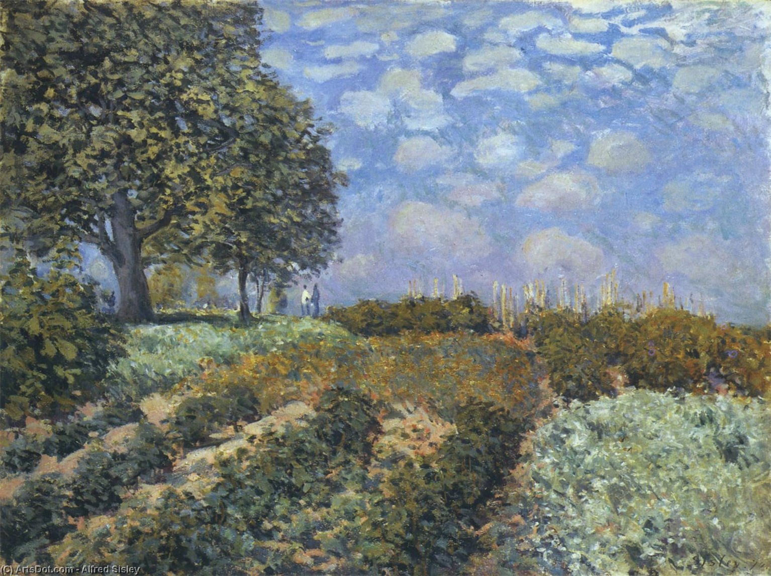 Wikioo.org - The Encyclopedia of Fine Arts - Painting, Artwork by Alfred Sisley - The Fields