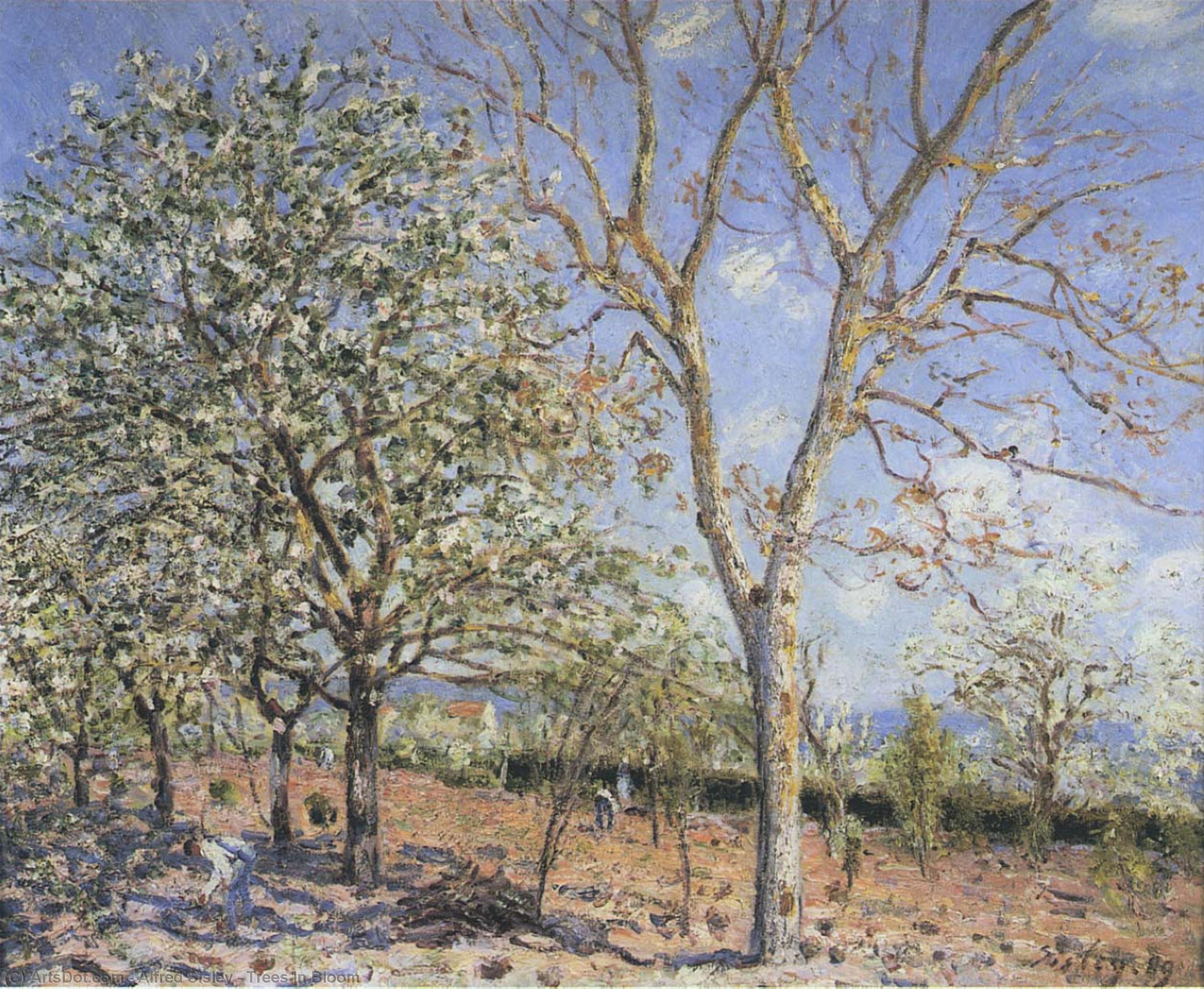 Wikioo.org - The Encyclopedia of Fine Arts - Painting, Artwork by Alfred Sisley - Trees in Bloom