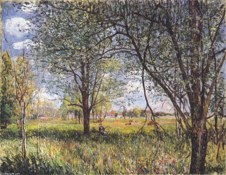 Wikioo.org – La Enciclopedia de las Bellas Artes - Pintura, Obras de arte de Alfred Sisley - willows` en un campo por la tarde