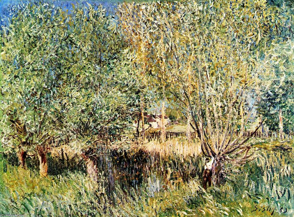 Wikioo.org - The Encyclopedia of Fine Arts - Painting, Artwork by Alfred Sisley - Willows on the Banks of the Orvanne