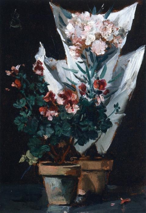 Wikioo.org - The Encyclopedia of Fine Arts - Painting, Artwork by Alfred Stevens - Still Life wit Potted Geraniums
