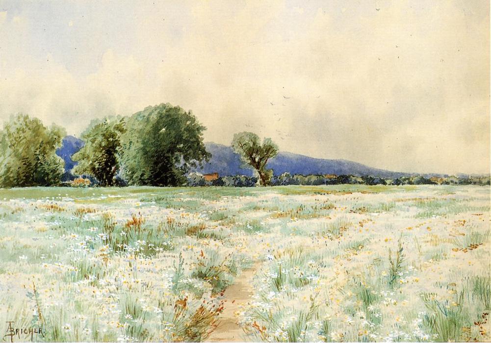 WikiOO.org - Encyclopedia of Fine Arts - Maleri, Artwork Alfred Thompson Bricher - The Daisy Field