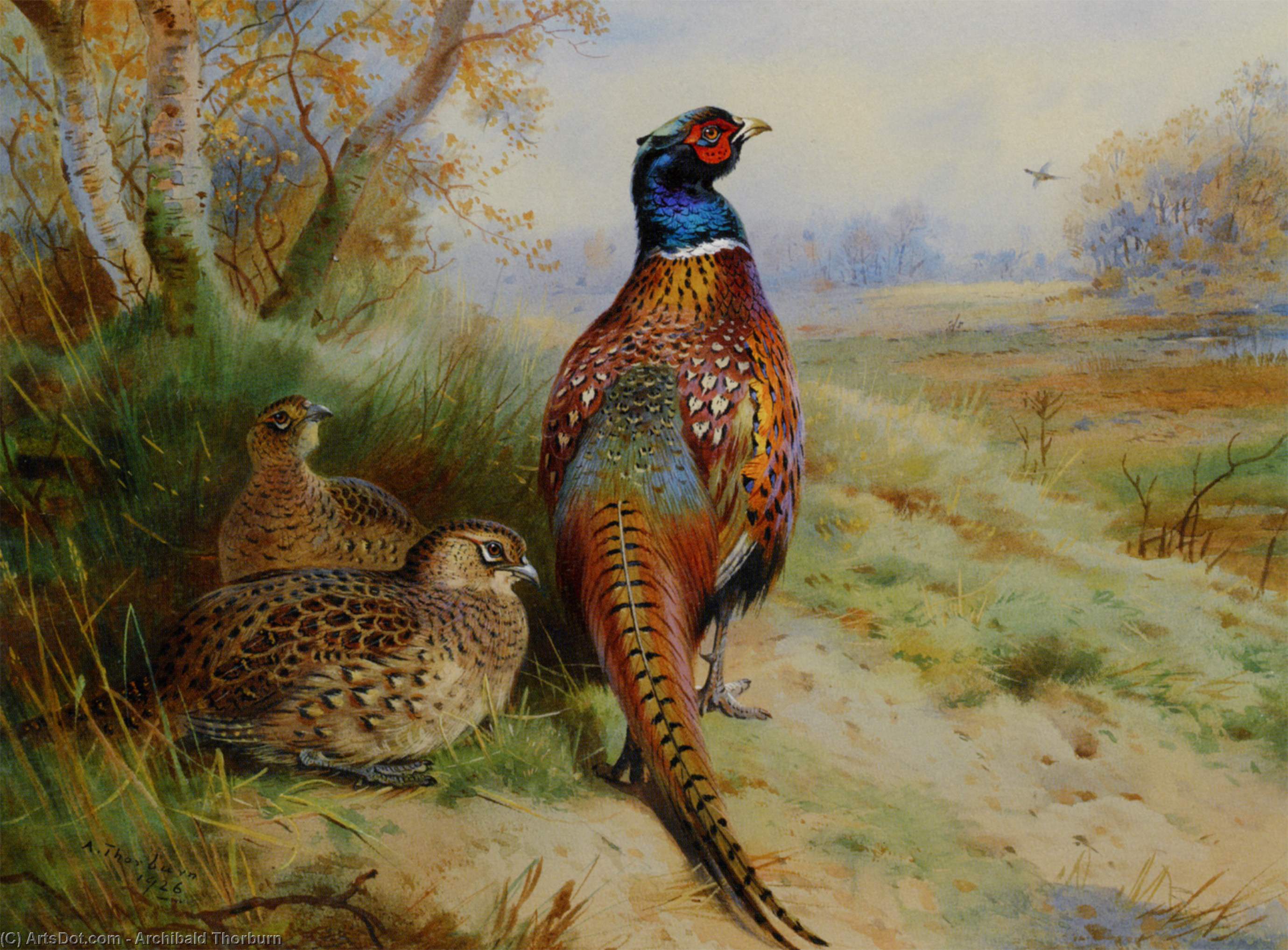 Wikioo.org - The Encyclopedia of Fine Arts - Painting, Artwork by Archibald Thorburn - Cock And Hen Pheasant At The Edge Of A Wood