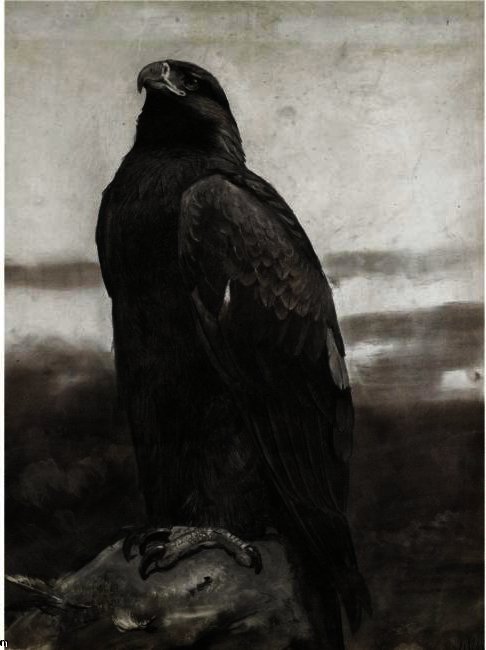 Wikoo.org - موسوعة الفنون الجميلة - اللوحة، العمل الفني Archibald Thorburn - Golden Eagle