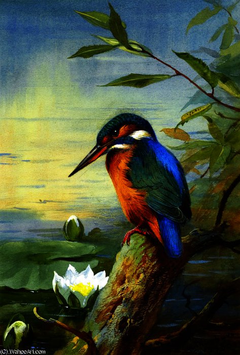 Wikioo.org – L'Encyclopédie des Beaux Arts - Peinture, Oeuvre de Archibald Thorburn - Kingfisher 1