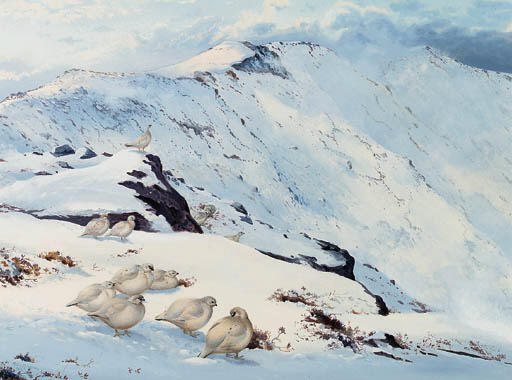 Wikioo.org - The Encyclopedia of Fine Arts - Painting, Artwork by Archibald Thorburn - Ptarmigan On The High Tops