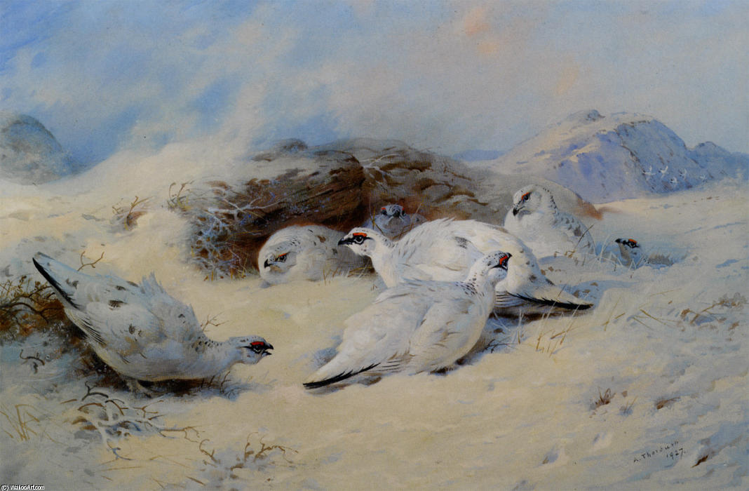 Wikioo.org - The Encyclopedia of Fine Arts - Painting, Artwork by Archibald Thorburn - Ptarmigan Seeking Shelter