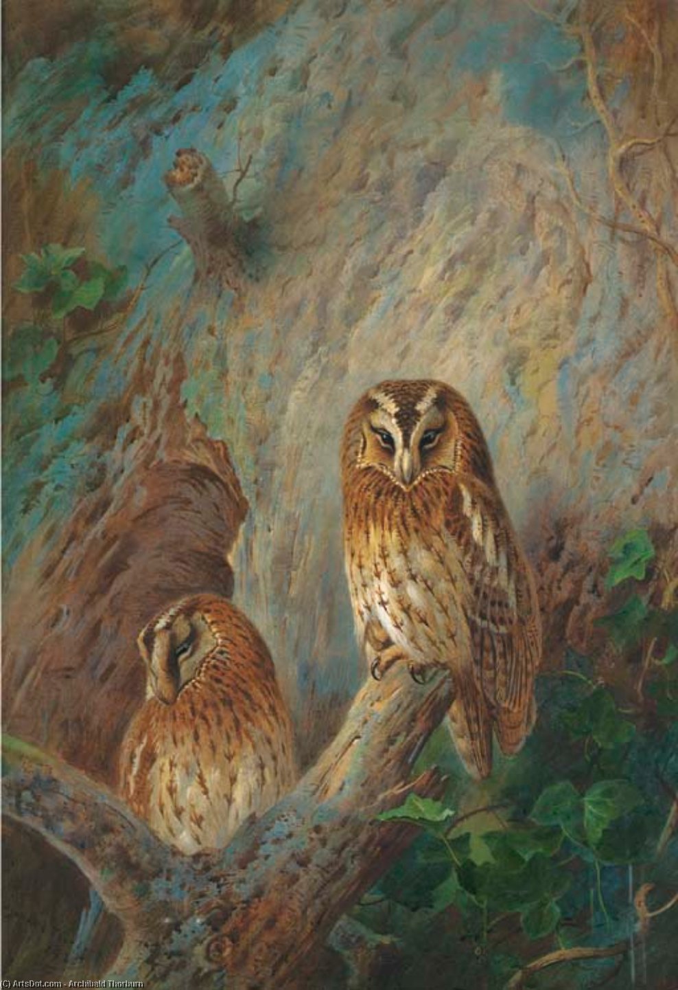 Wikioo.org – La Enciclopedia de las Bellas Artes - Pintura, Obras de arte de Archibald Thorburn - Tawny Búhos